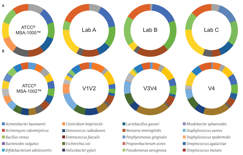 Figure 2 - Development and Evaluation of Whole Cell- and Genomic DNA-based