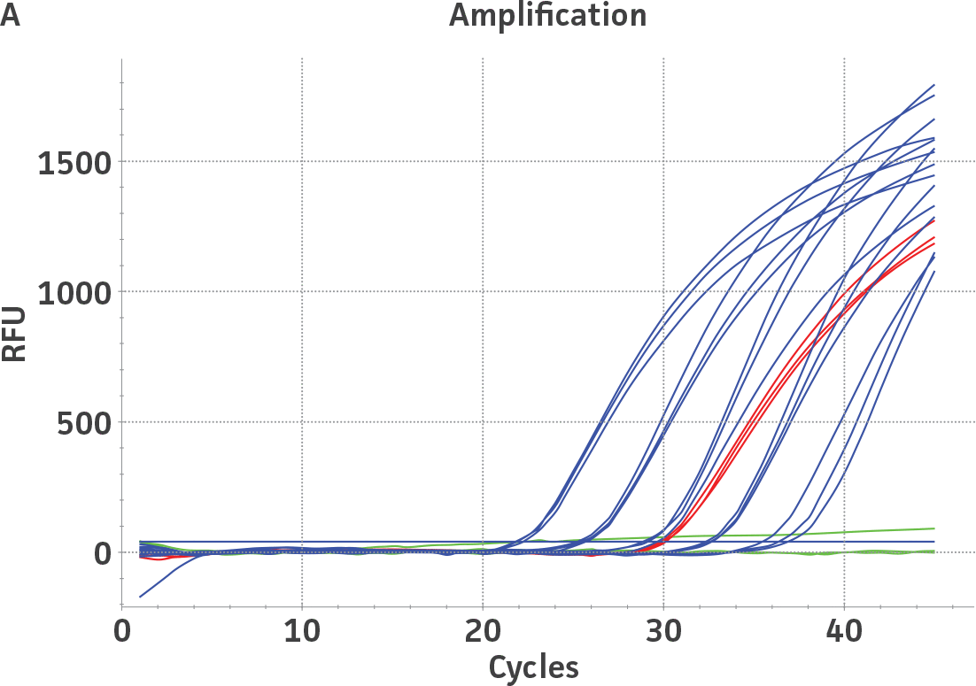 Amplification plot graph (A)