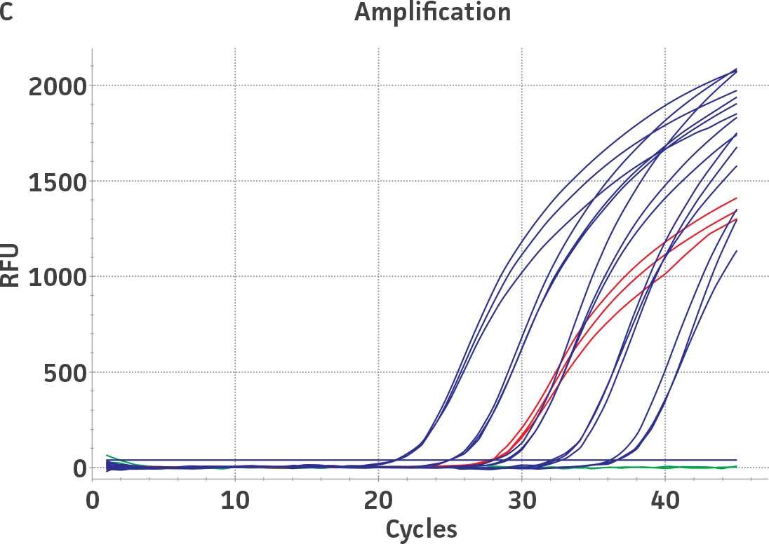 Amplification graph (C) for HSV-2 (ATCC VR-540DQ)