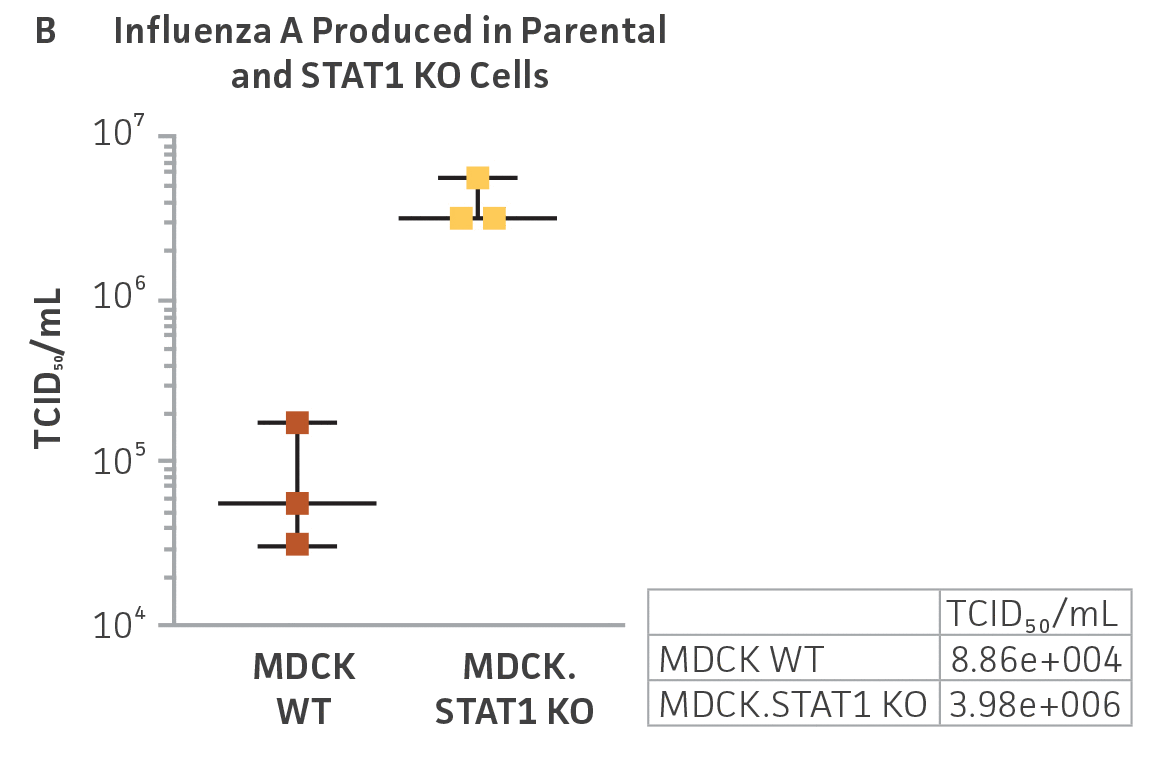 Graph of Influenza A produced in parental and STAT1 KO cells.