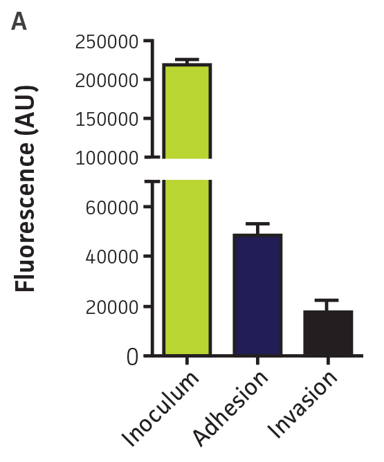High-throughput detection of pathogen-host interactions.