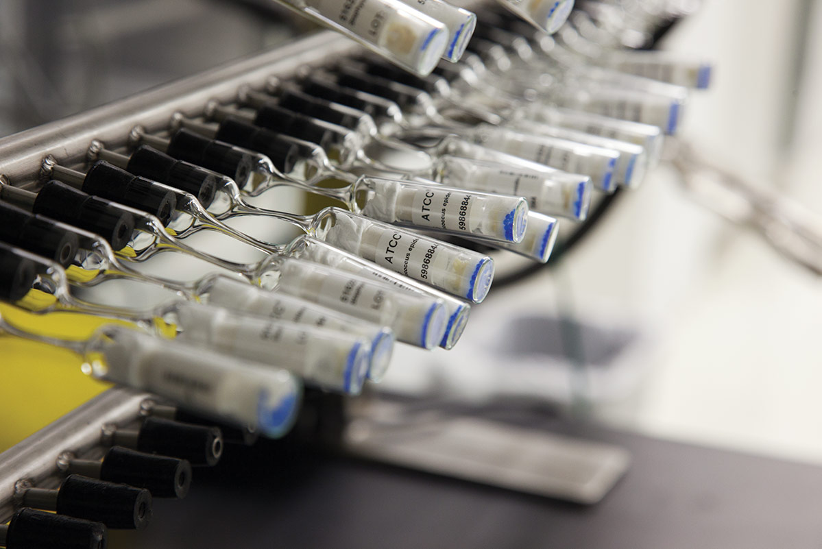 Row of glass vials.