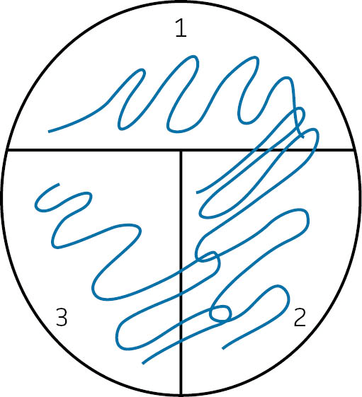 Circle with blue lines to illustrate a streak plate