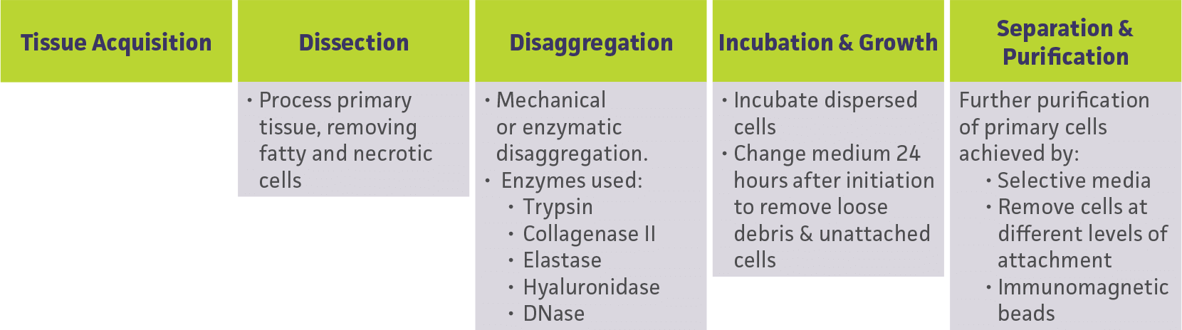 Basic steps used to isolate cells from primary tissue