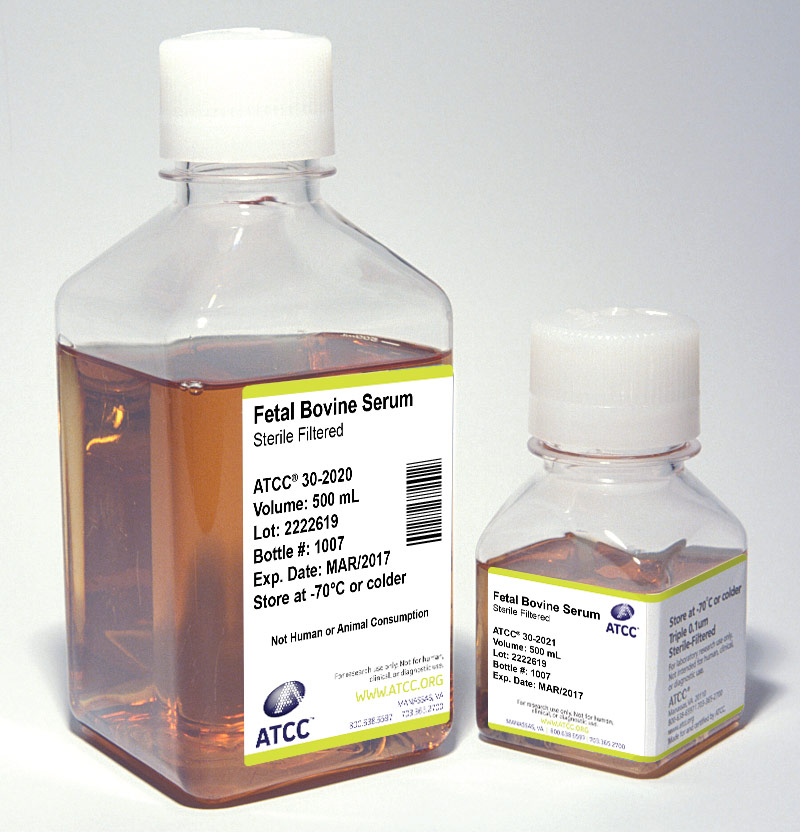 Clear capped and labeled bottles containing orange media, ATCC products labeled: fetal bovine serum.