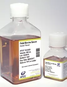 Clear capped and labeled bottles containing orange media, ATCC products labeled: fetal bovine serum.