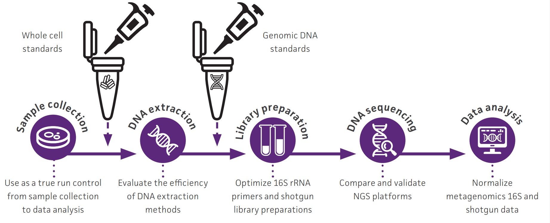 next generation sequencing workflow