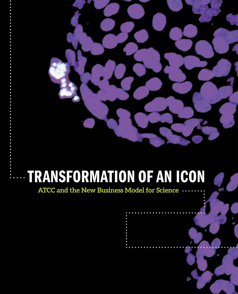 Black and purple book cover for Transformation of an Icon