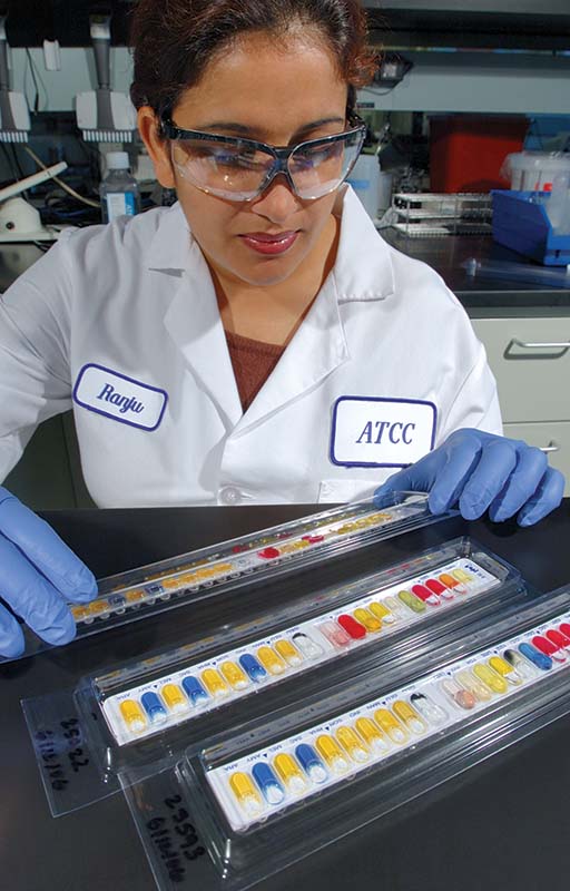 Female ATCC scientist with lab coat, protective glasses, and gloves handling an API strip at lab work station.