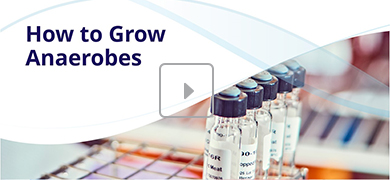 Instructional video titled 'How to Grow Anaerobes' with a close-up image of sealed test tubes in a laboratory rack.