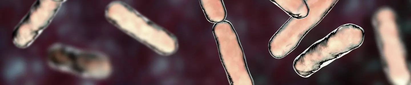 Bacteria Bifidobacterium-iStock-1028375394.jpg