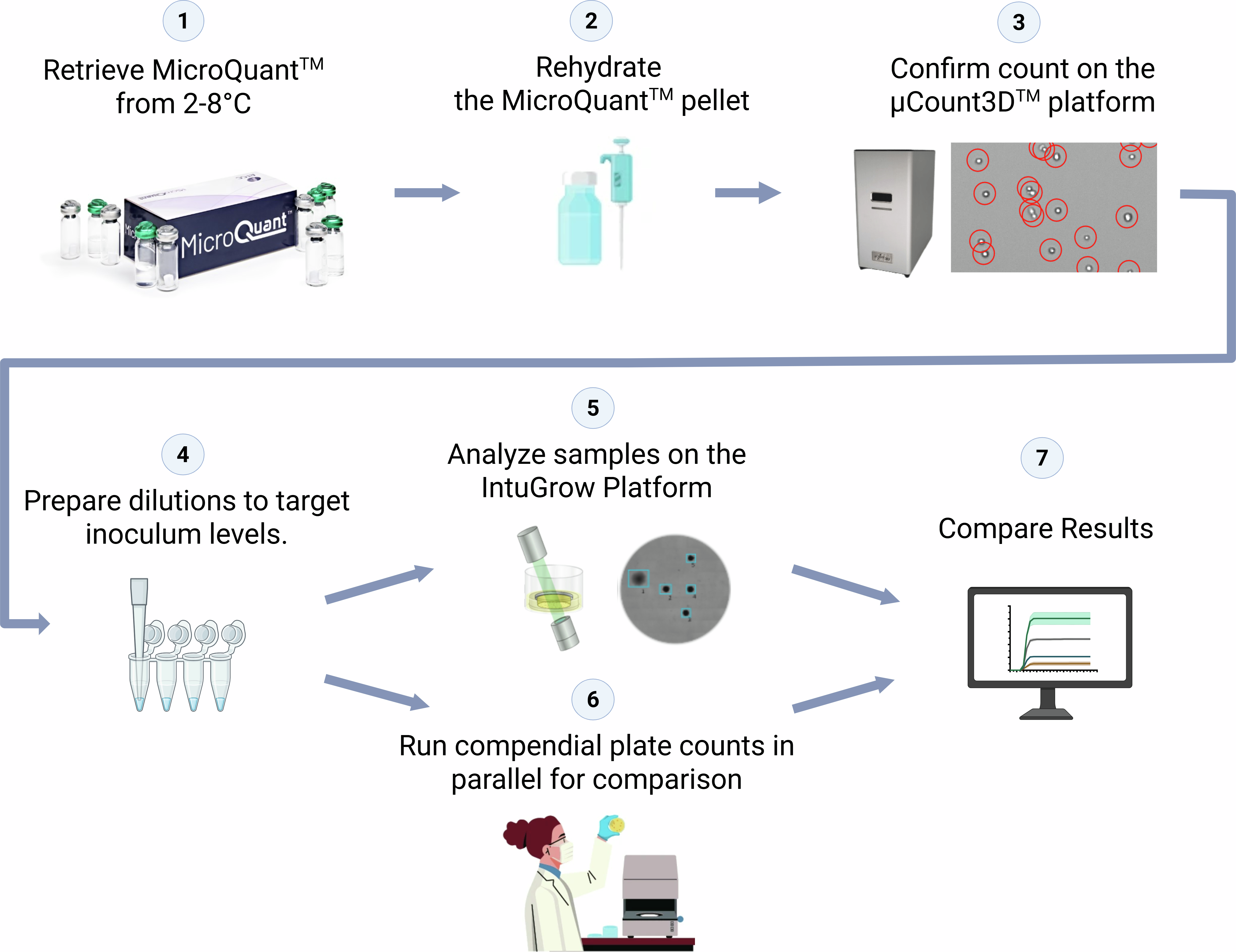 Workflow diagram showing rapid microbiological method validation using MicroQuant™, IntuGrow, and a compendial plate count method. Steps include MicroQuant™ retrieval, pellet rehydration, microbial count confirmation on the μCount3D™ platform, serial dilution preparation, IntuGrow analysis, parallel plate count testing, and result comparison for method equivalence.