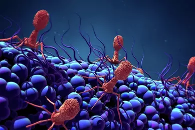 Bacteriophage iStock-992263464.jpg