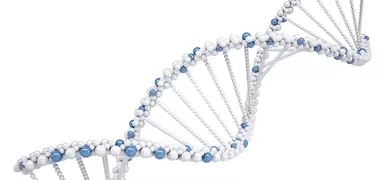 A 3D molecular model of a DNA double helix structure composed of connected spheres, illustrating the twisted ladder shape of genetic material.