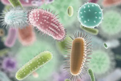 Various images of viruses and bacteria in different color and focus