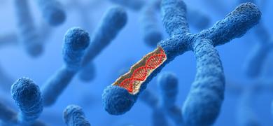 Chromosome DNA iStock-165816264.jpg