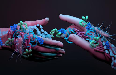 Bacteria on human hands