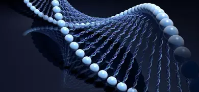 Blue DNA strand with sides made of light blue balls.