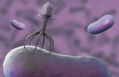 Gray six-legged bacteriophage flanked by two purple, floating rods.