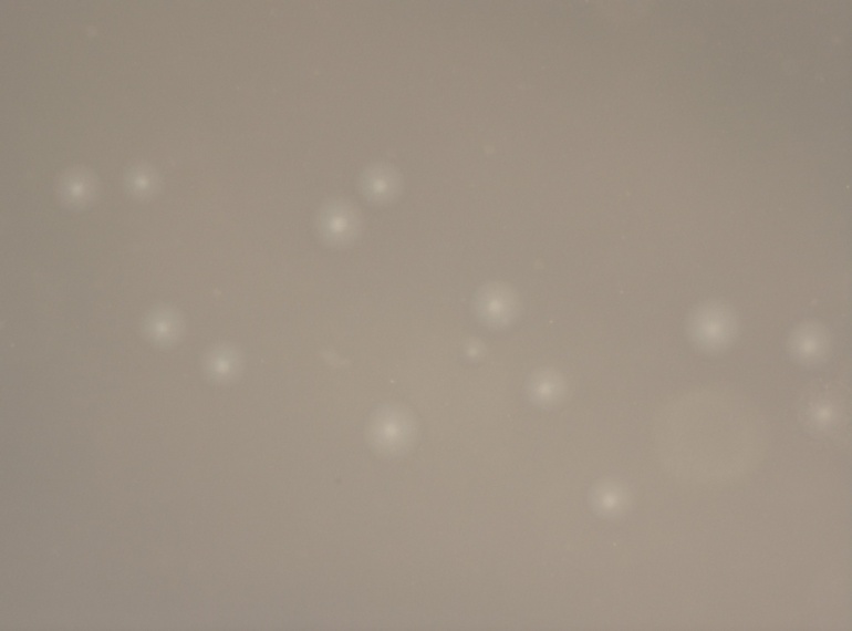 14027 Image