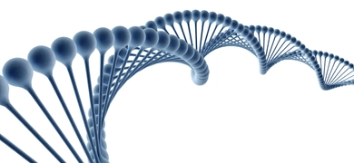 3D rendering of a DNA double helix structure in blue and white, showing its twisted ladder-like form with spherical nodes representing nucleotides.