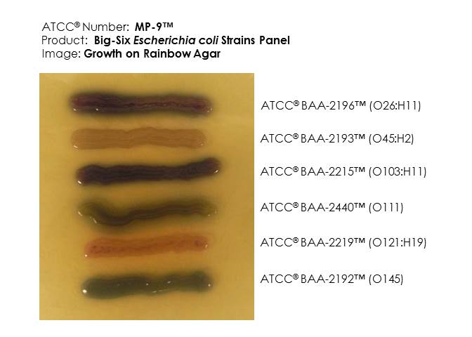 ATCC MP-9 'Big Six' Panel Photomicrograph