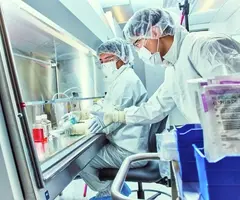  3D illustration of Fat cells or adipose cells