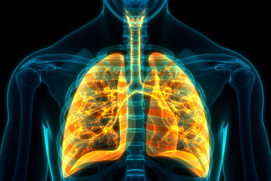 Lungs iStock-1191189866.jpg