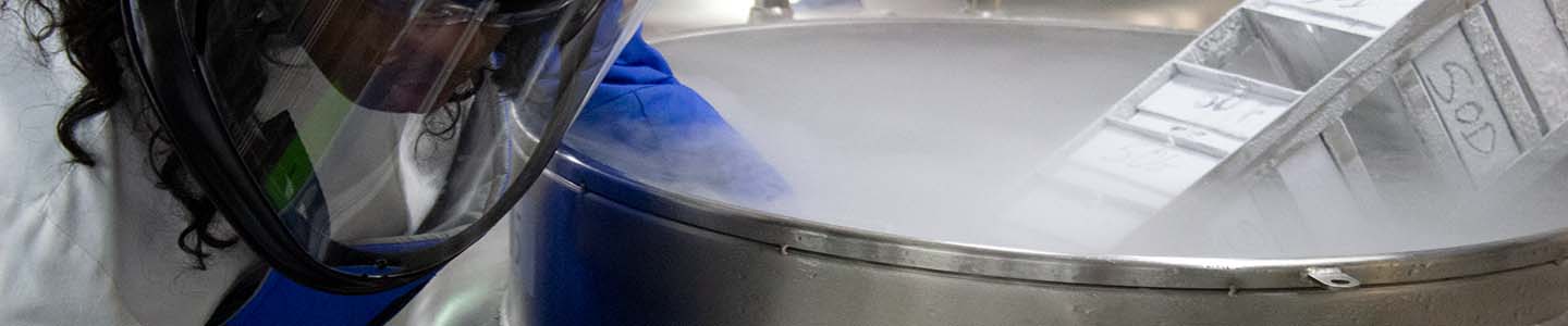 Scientist wearing safety mask, smock, and gloves removing stock from cryo tank in repository.