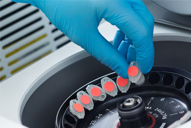 Standards And Controls Atcc