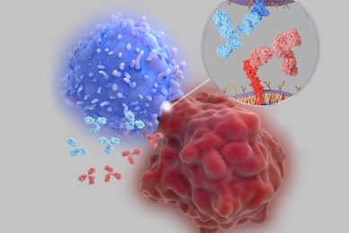 immune checkpoint inhibitor