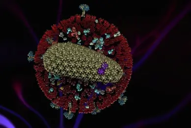A detailed 3D rendering of the HIV virus. The image shows the virus's spherical outer envelope covered with red spike proteins and blue receptor proteins. Inside the envelope, there is an elongated, textured core representing the viral RNA genome.
