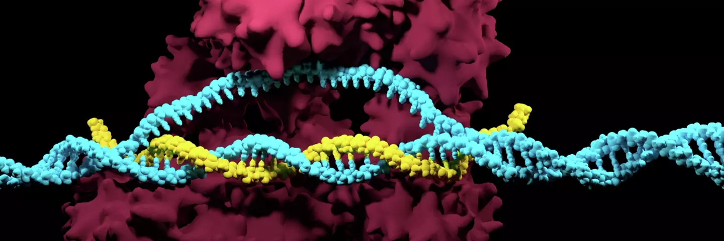 3D render of the CRISPR-Cas9 genome editing system