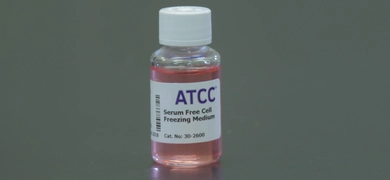 ATCC Serum Free Cell Freezing Medium bottle with pink liquid and white cap on a dark lab surface.