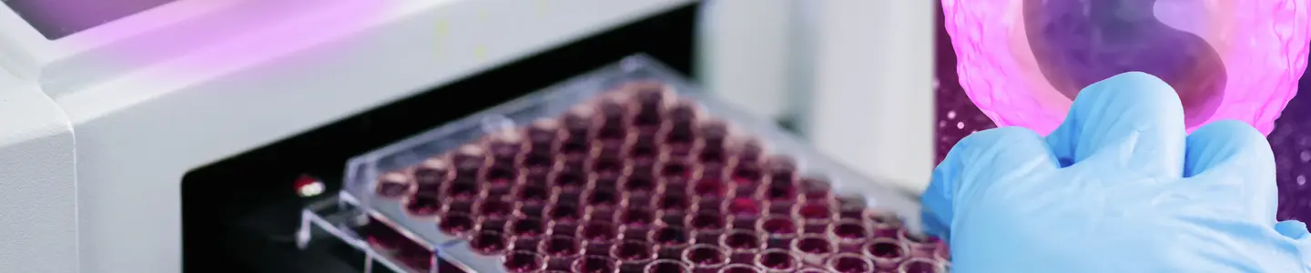 ELISA plate to measure OD with microplate reader. Microtiter plate (96 well) reader for biochemistry analysis.