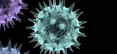 Iridescent influenza virus spheres with protruding spikes