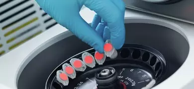 Gloved hand putting samples into centrifuge machine.