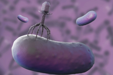 Gray six-legged bacteriophage flanked by two purple, floating rods.