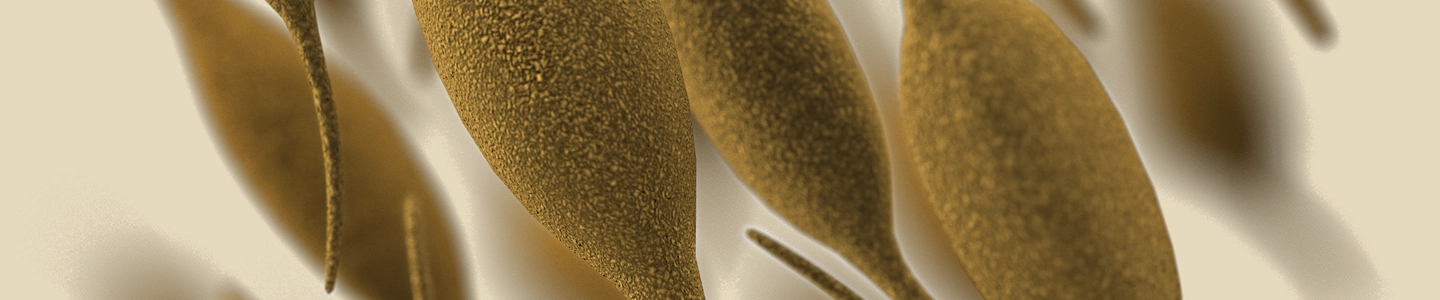 This illustration depicted a three-dimensional (3D), computer-generated image, of a group of Mycoplasma pneumoniae, bacteria.
