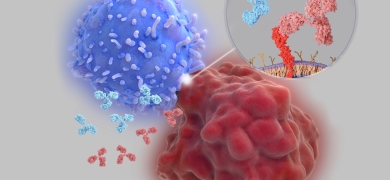 immune checkpoint inhibitor