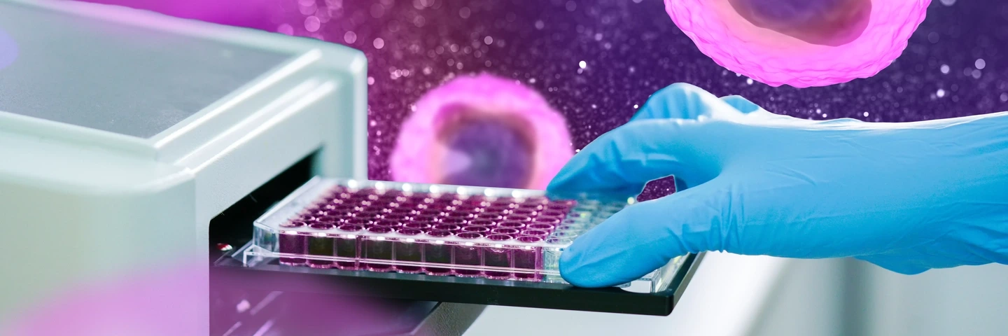 ELISA plate to measure OD with microplate reader. Microtiter plate (96 well) reader for biochemistry analysis.