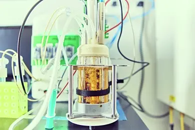 A laboratory bioreactor containing yellowish liquid is set on a lab bench, with multiple tubes and sensors attached.