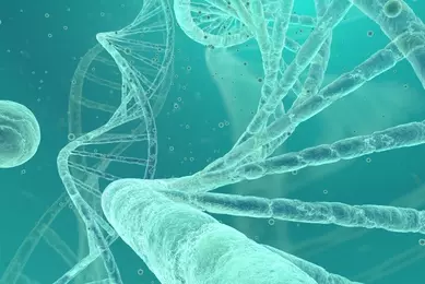 Translucent green DNA strands.