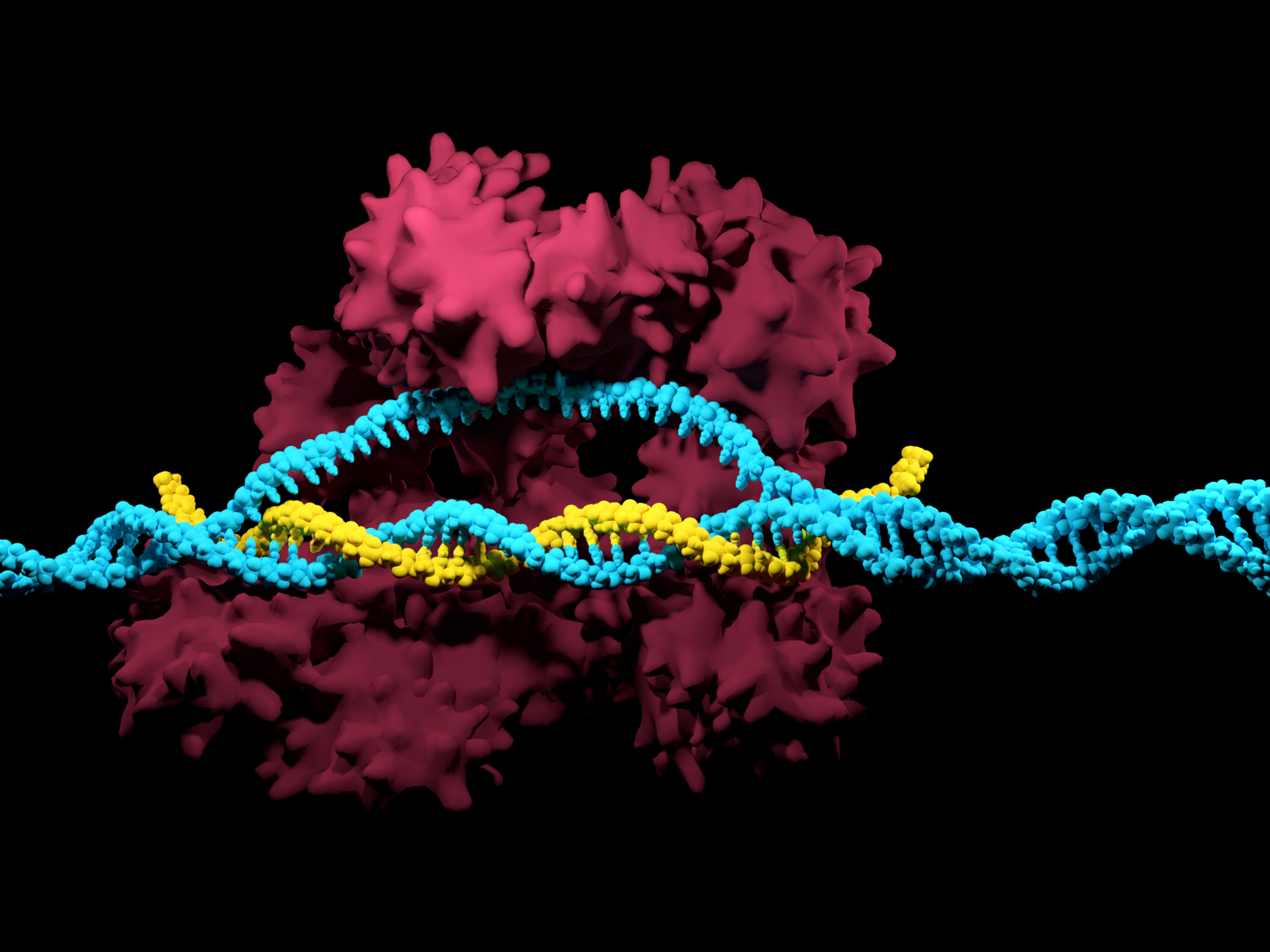 CRISPR-Cas9 system iStock-859573154.jpg