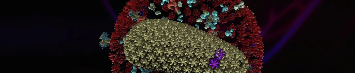 A detailed 3D rendering of the HIV virus. The image shows the virus's spherical outer envelope covered with red spike proteins and blue receptor proteins. Inside the envelope, there is an elongated, textured core representing the viral RNA genome.