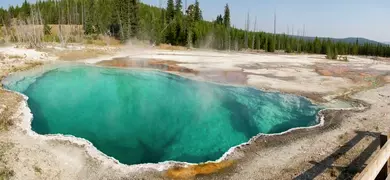 A vibrant hot spring pool with turquoise water and rising steam is surrounded by rocky terrain and forested areas in Yellowstone National Park, Wyoming.