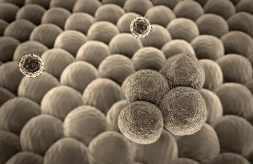 T-lymphocyte cancer cells.