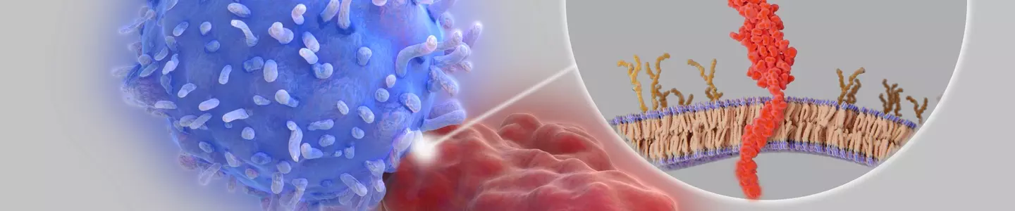 Immune checkpoint iStock-1409516986.jpg