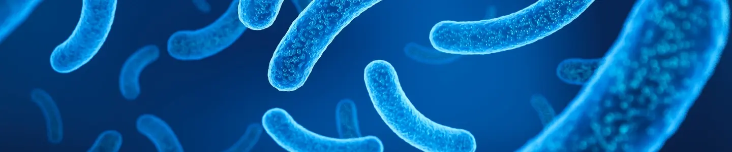 Illustration showing blue, rod‑shaped bacteria floating against a dark blue background.