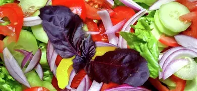 Close-up of a colorful fresh vegetable salad with sliced cucumbers, red onion, tomatoes, red and yellow bell peppers, mixed greens, and two purple basil leaves in the center.
